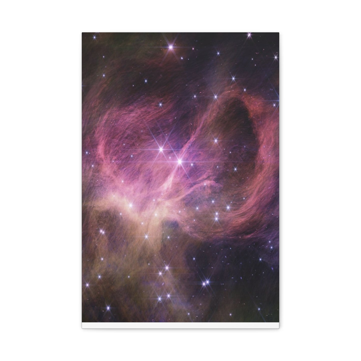 Star Cluster IC 348 Canvas Wall Art