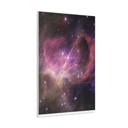 Star Cluster IC 348 Canvas Wall Art